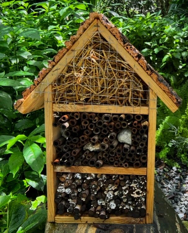 微信图片_20251030144252