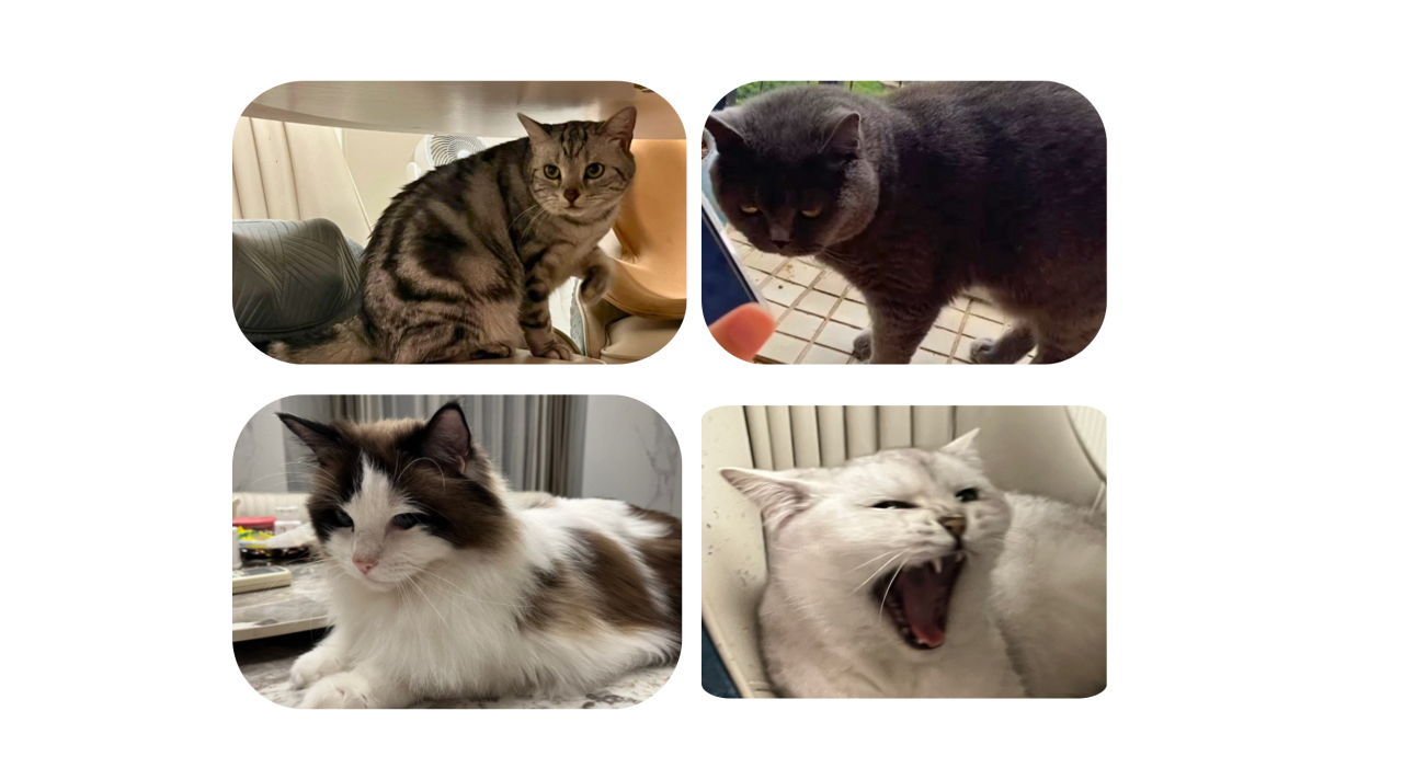 微信图片_20251030144638