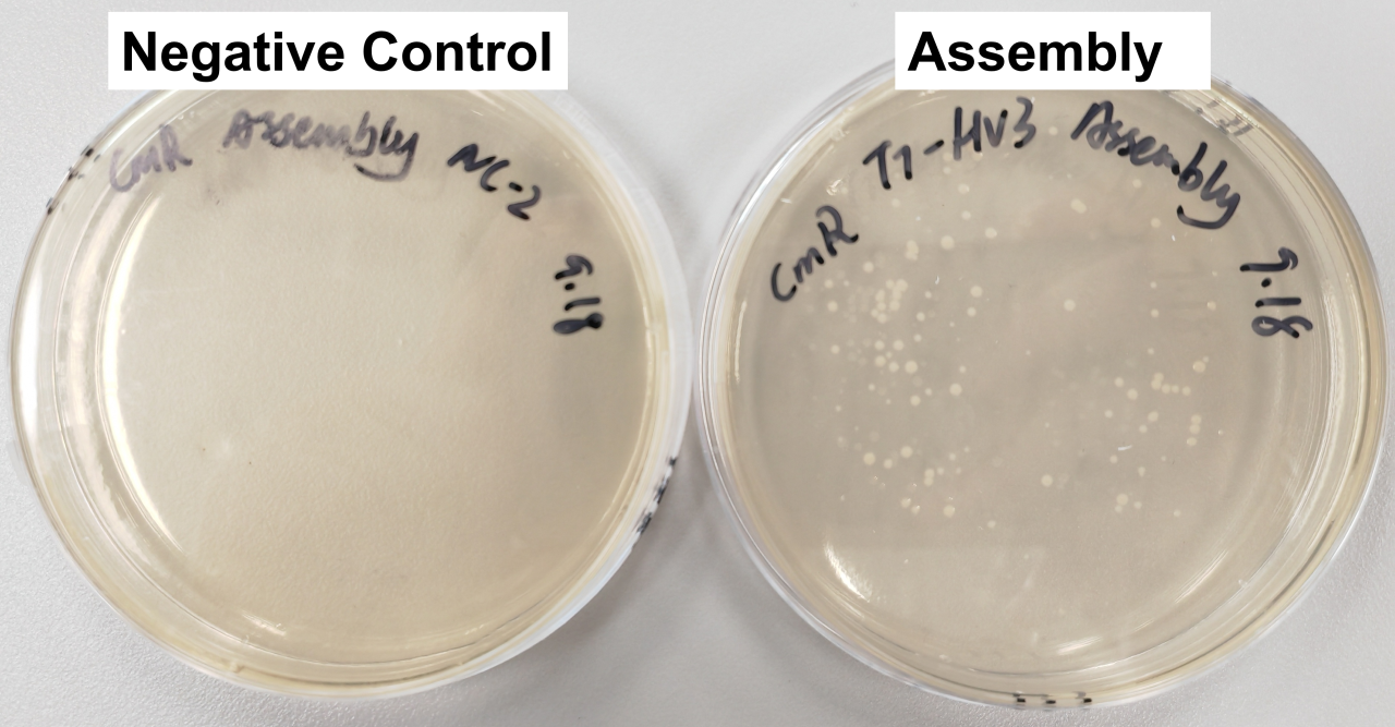 微信图片_20251217081832