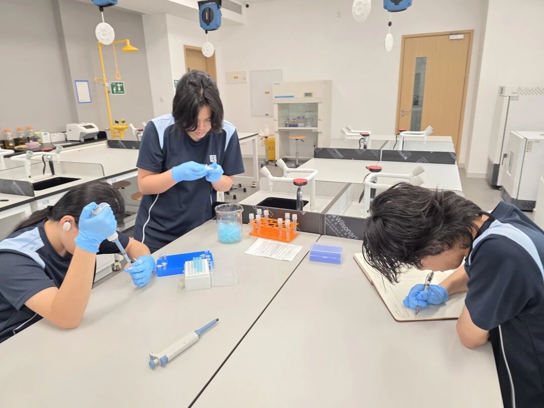 微信图片_20251217081641