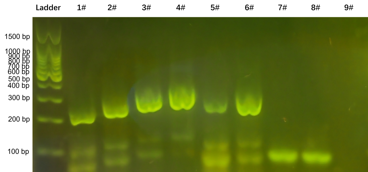 微信图片_20251217081958