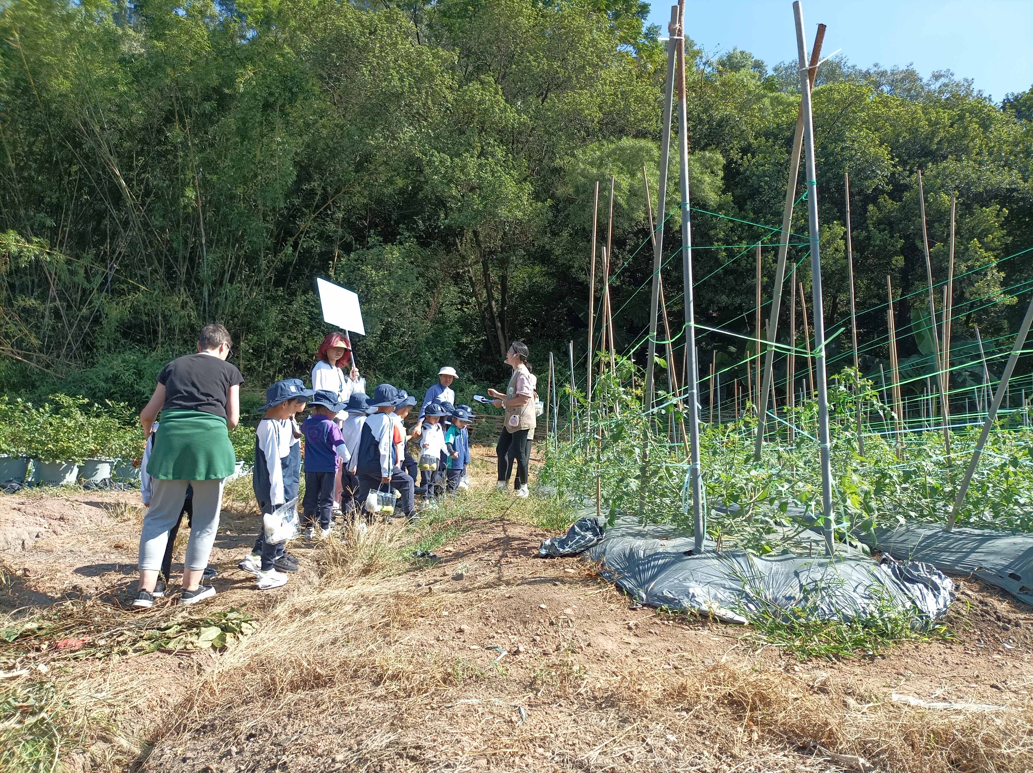 WeChat Image_20251105153151