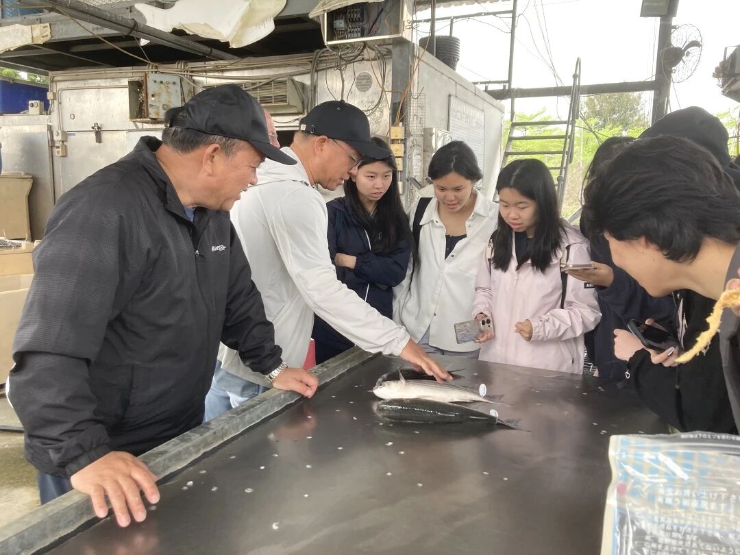 微信图片_20251218095326