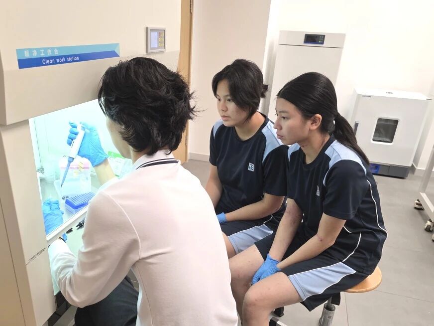 微信图片_20251217081645