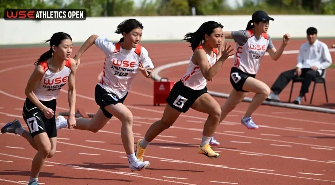 微信图片_20260305083517