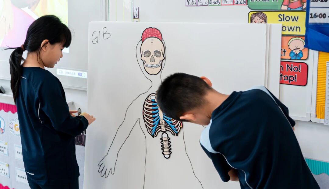 微信图片_2026-04-15_112753_098