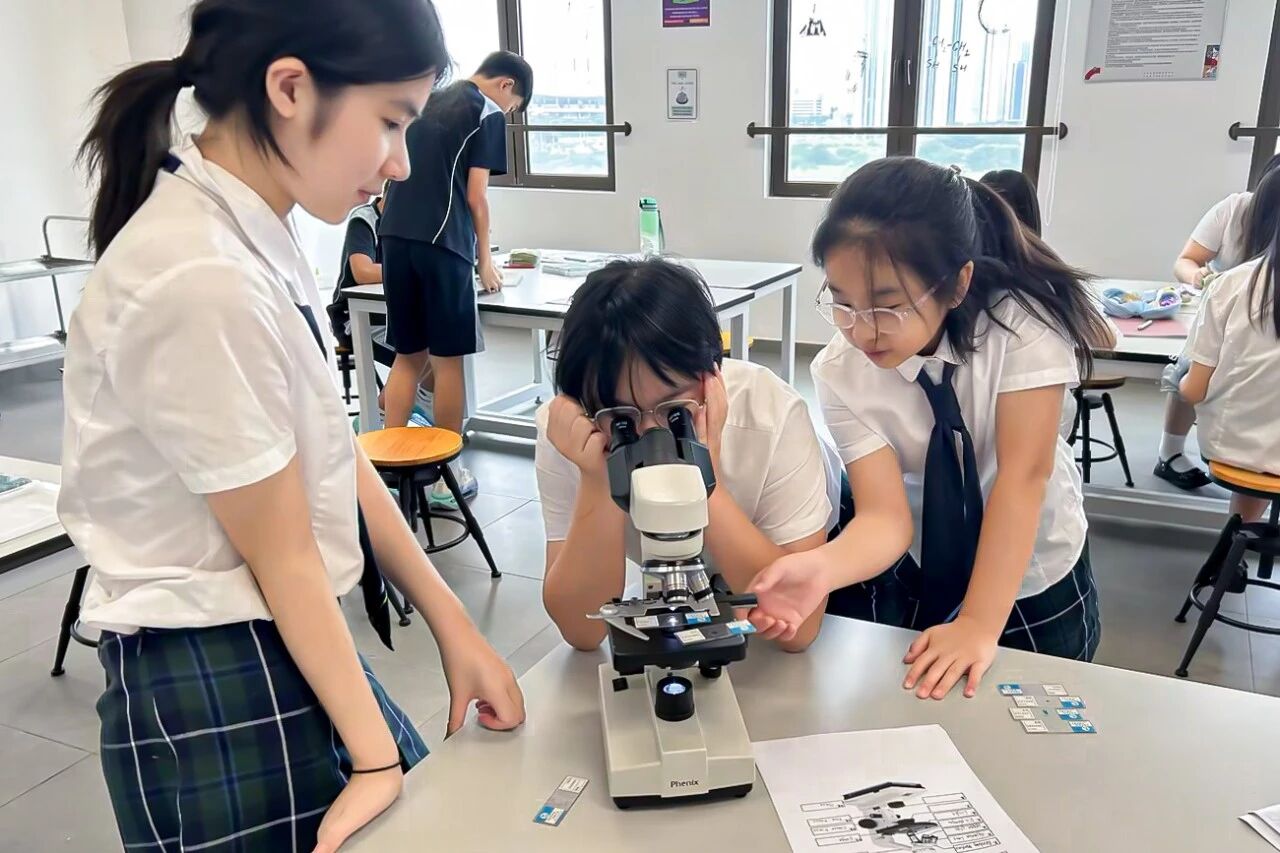 微信图片_2026-04-17_153113_461